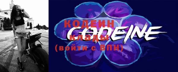 гашик Михайловск