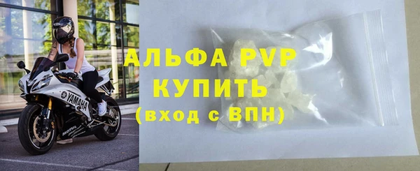 гашик Михайловск