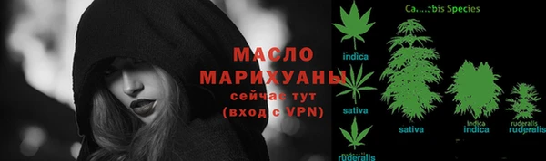гашик Михайловск