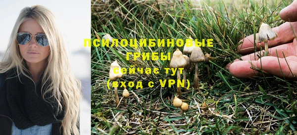 твердый Михайловка