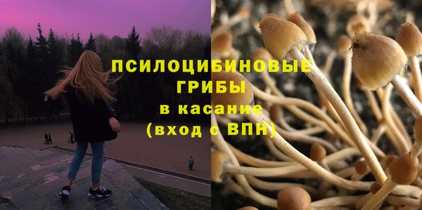 твердый Михайловка