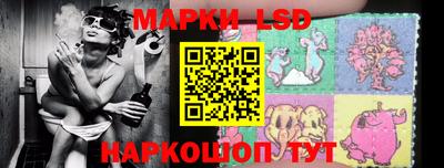 гашик Камышлов