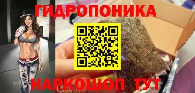 гашик Камышлов