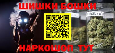 гашик Камышлов