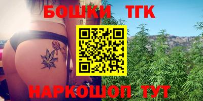 гашик Камышлов