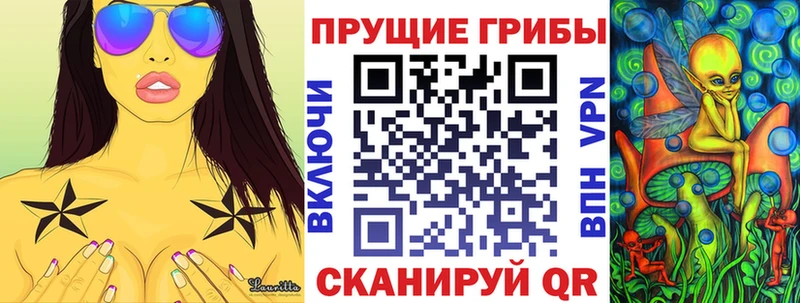 Псилоцибиновые грибы Cubensis  Чебаркуль 