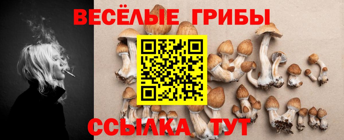 Галлюциногенные грибы Psilocybe Чебаркуль
