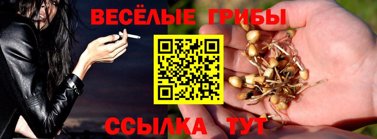 Псилоцибиновые грибы Magic Shrooms  Вход с VPN  Чебаркуль 